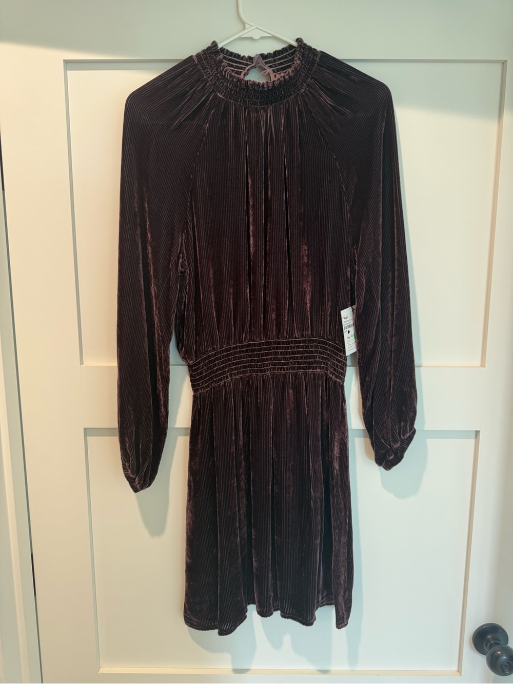Bella Dahl Smocked Raglan Mini Dress Deep Eggplant